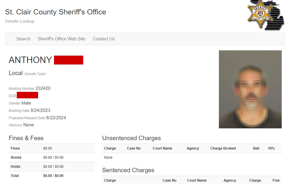 A screenshot of the inmate lookup tool that St. Clair County Sheriff's Office offers for the users to find inmate details.