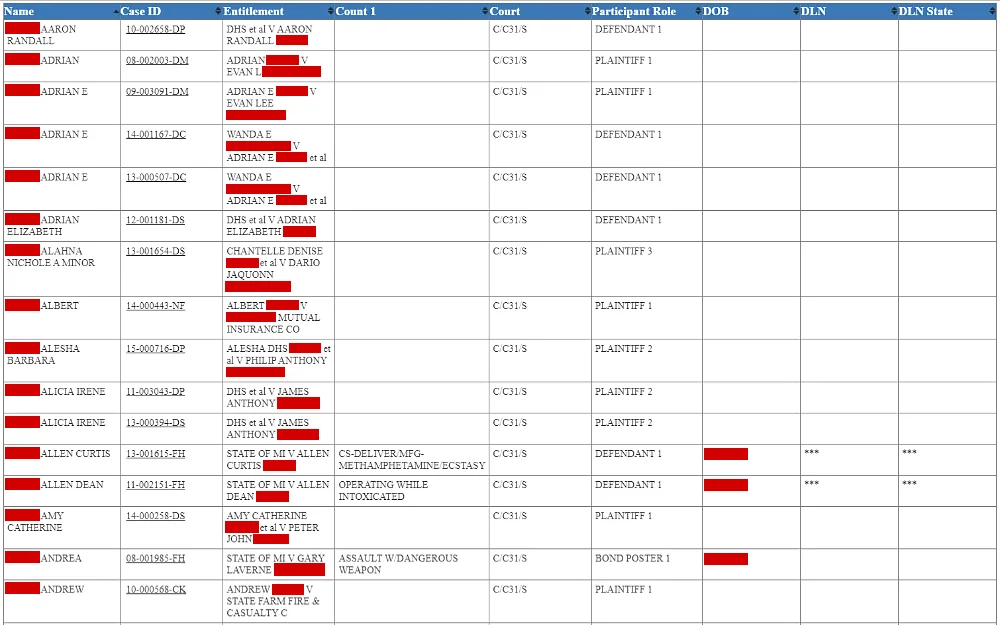 A screenshot displaying a case search by name showing name, case ID, entitlement, counts, court, participant role, date of birth, DLN and its state from the Michigan Courts website.